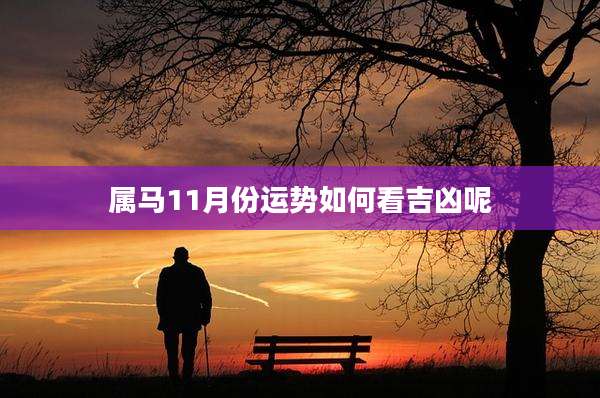 属马11月份运势如何看吉凶呢