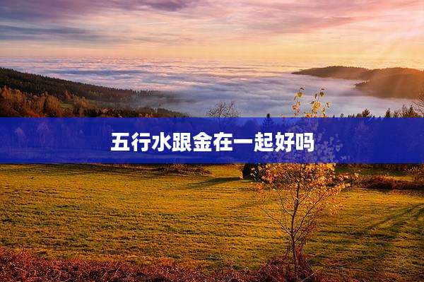 五行水跟金在一起好吗