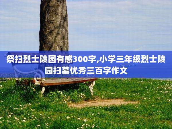 祭扫烈士陵园有感300字,小学三年级烈士陵园扫墓优秀三百字作文
