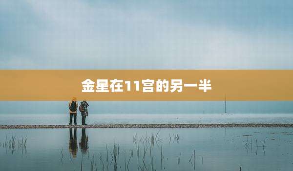 金星在11宫的另一半