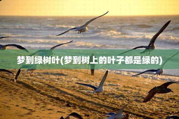 梦到绿树叶(梦到树上的叶子都是绿的)
