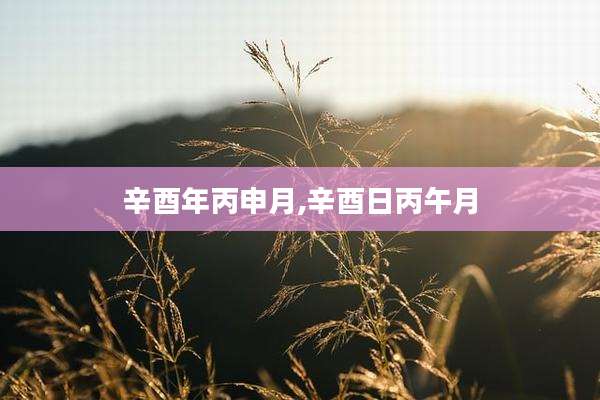 辛酉年丙申月,辛酉日丙午月