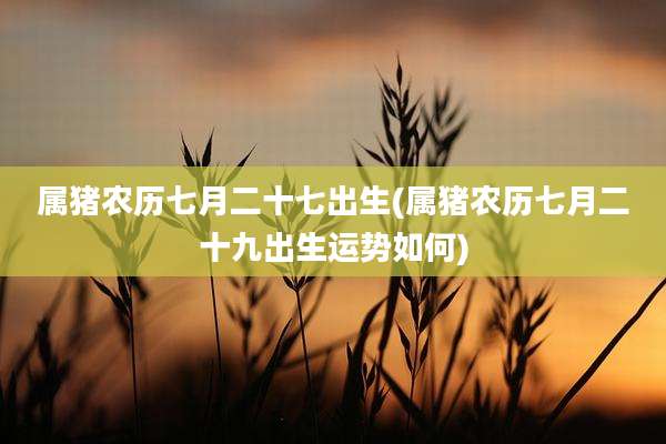 属猪农历七月二十七出生(属猪农历七月二十九出生运势如何)