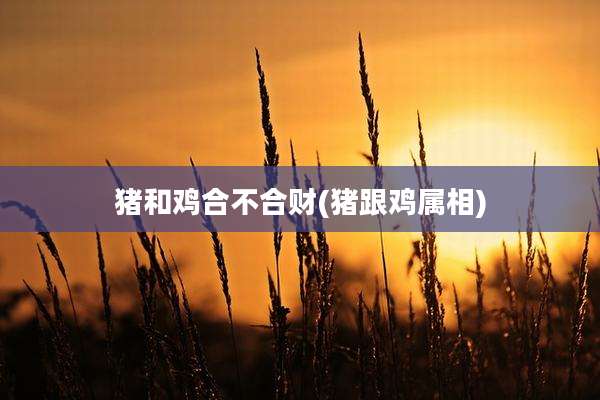 猪和鸡合不合财(猪跟鸡属相)
