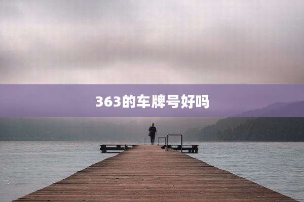 363的车牌号好吗