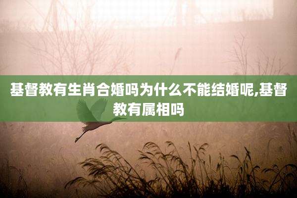 基督教有生肖合婚吗为什么不能结婚呢,基督教有属相吗