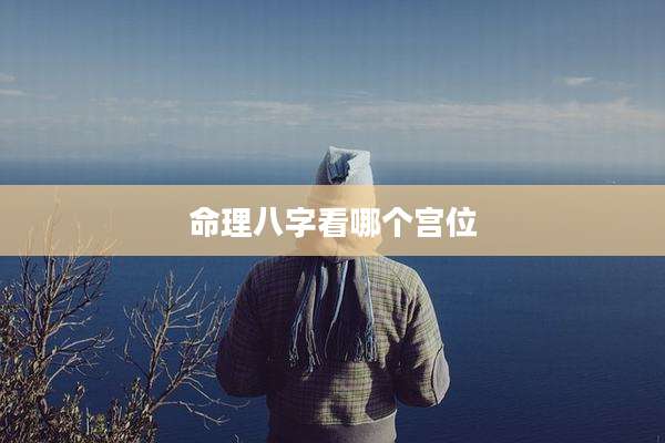 命理八字看哪个宫位