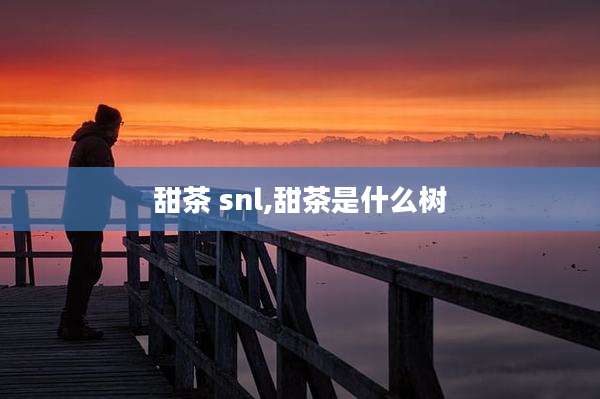 甜茶 snl,甜茶是什么树