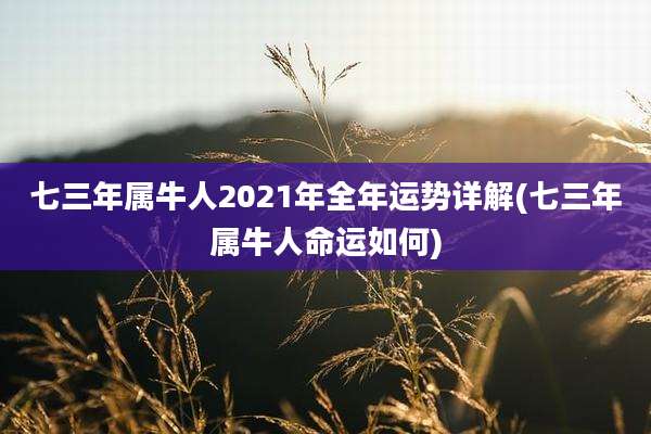七三年属牛人2021年全年运势详解(七三年属牛人命运如何)