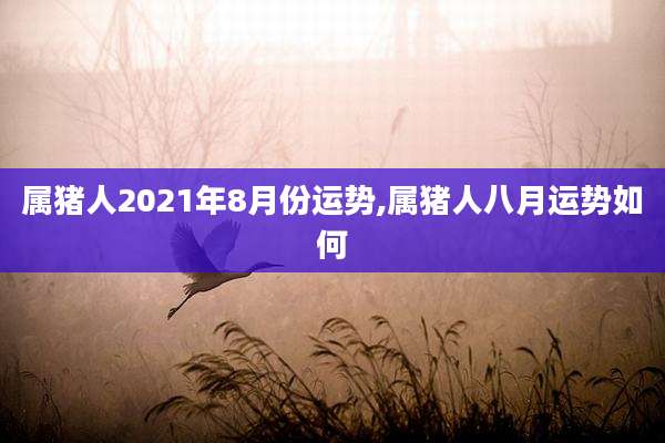 属猪人2021年8月份运势,属猪人八月运势如何