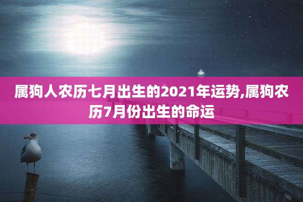 属狗人农历七月出生的2021年运势,属狗农历7月份出生的命运