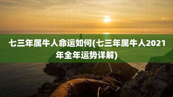七三年属牛人命运如何(七三年属牛人2021年全年运势详解)