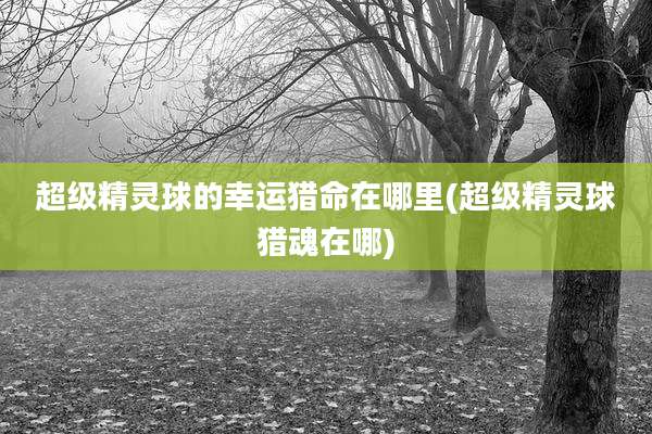 超级精灵球的幸运猎命在哪里(超级精灵球猎魂在哪)