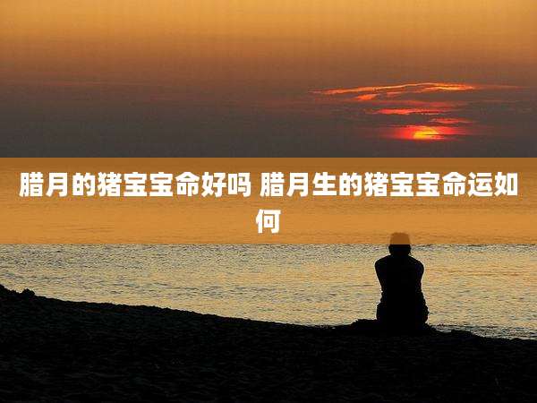 腊月的猪宝宝命好吗 腊月生的猪宝宝命运如何