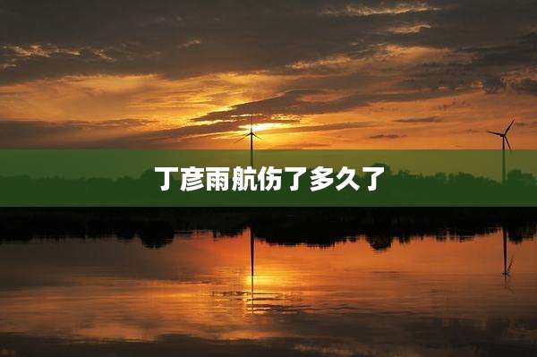 丁彦雨航伤了多久了