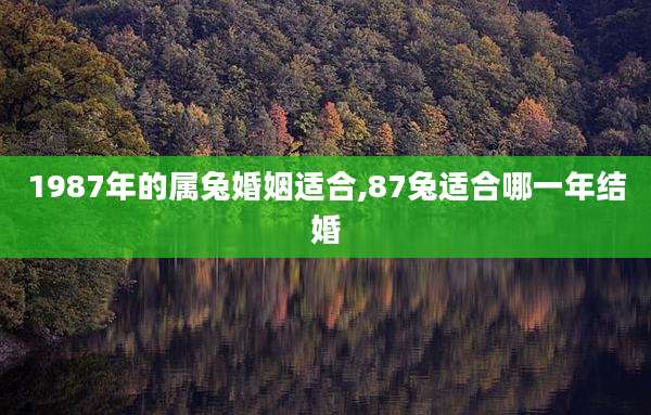 1987年的属兔婚姻适合,87兔适合哪一年结婚