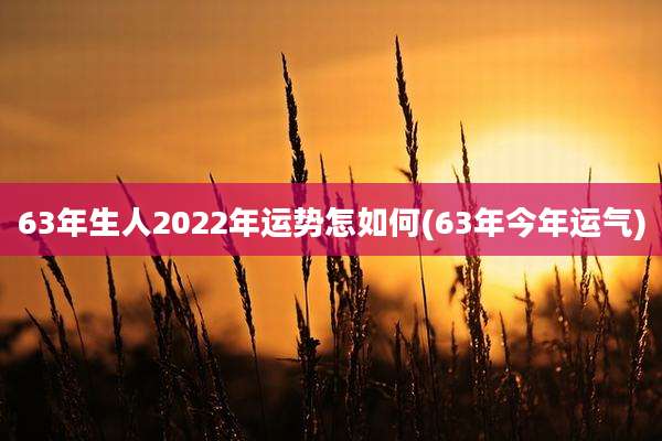 63年生人2022年运势怎如何(63年今年运气)