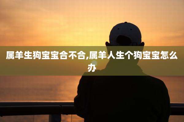 属羊生狗宝宝合不合,属羊人生个狗宝宝怎么办