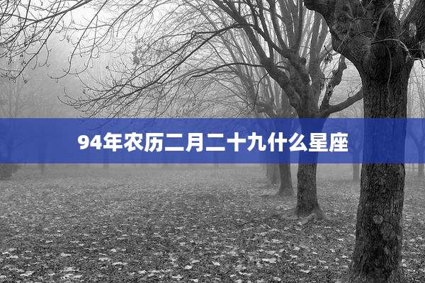 94年农历二月二十九什么星座