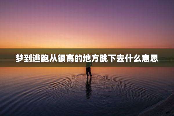 梦到逃跑从很高的地方跳下去什么意思