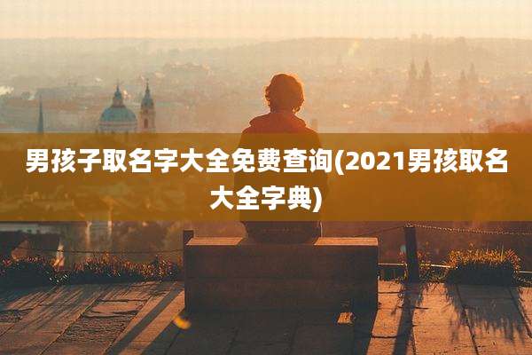 男孩子取名字大全免费查询(2021男孩取名大全字典)