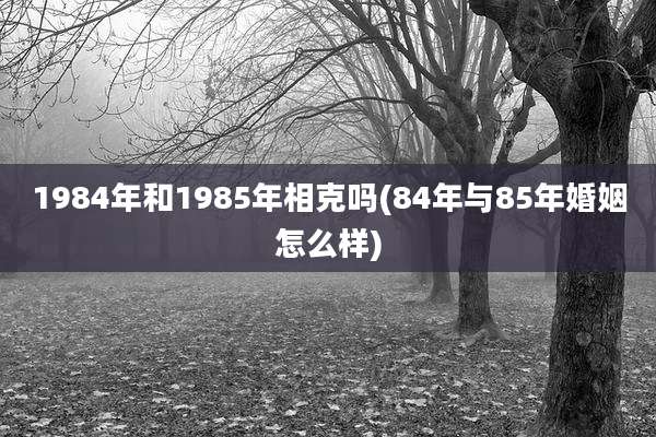 1984年和1985年相克吗(84年与85年婚姻怎么样)