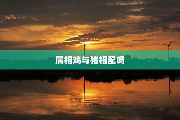 属相鸡与猪相配吗