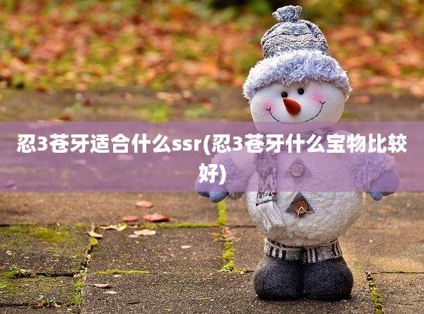 忍3苍牙适合什么ssr(忍3苍牙什么宝物比较好)