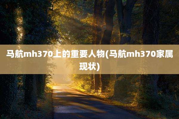 马航mh370上的重要人物(马航mh370家属现状)