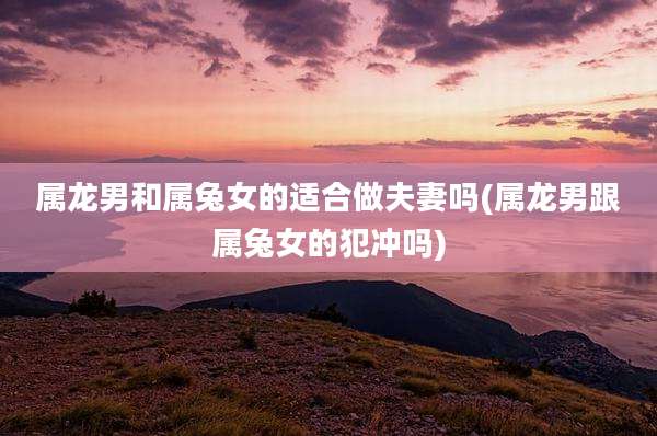属龙男和属兔女的适合做夫妻吗(属龙男跟属兔女的犯冲吗)
