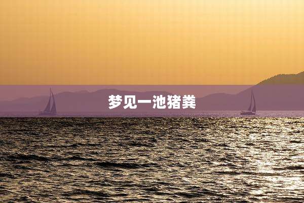 梦见一池猪粪
