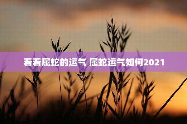 看看属蛇的运气 属蛇运气如何2021