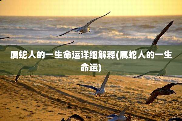 属蛇人的一生命运详细解释(属蛇人的一生命运)