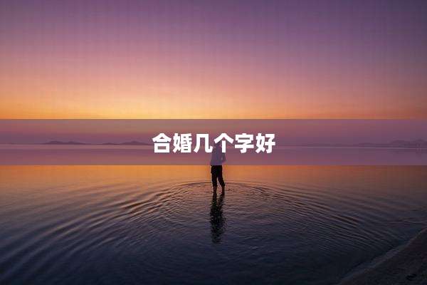 合婚几个字好