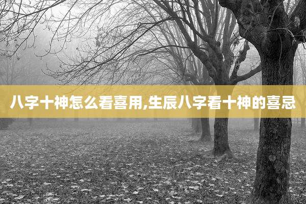 八字十神怎么看喜用,生辰八字看十神的喜忌