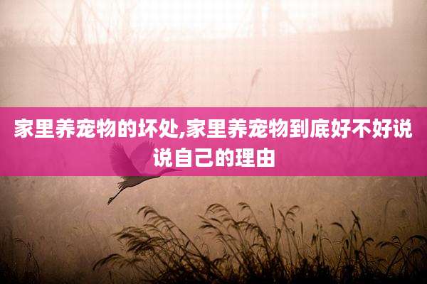 家里养宠物的坏处,家里养宠物到底好不好说说自己的理由