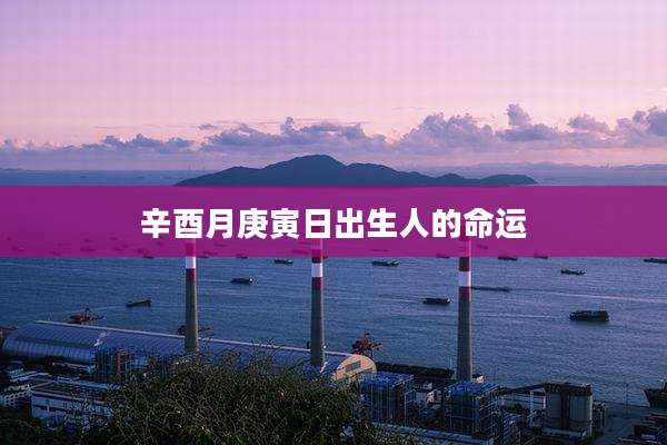 辛酉月庚寅日出生人的命运