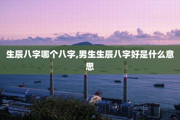 生辰八字哪个八字,男生生辰八字好是什么意思