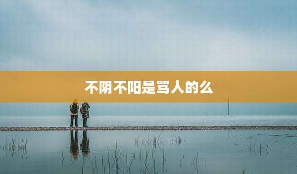 不阴不阳是骂人的么