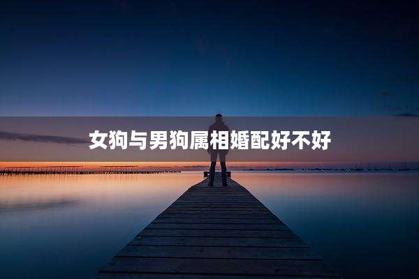 女狗与男狗属相婚配好不好