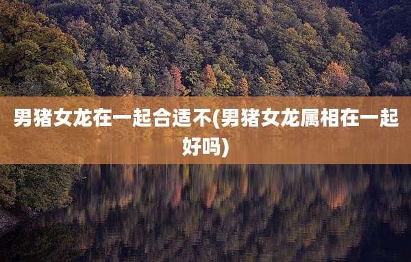 男猪女龙在一起合适不(男猪女龙属相在一起好吗)