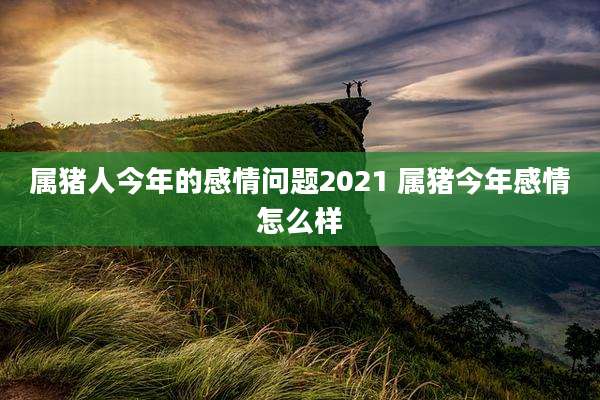 属猪人今年的感情问题2021 属猪今年感情怎么样