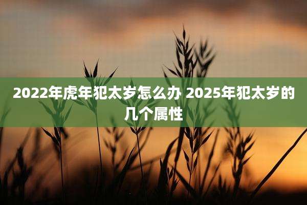 2022年虎年犯太岁怎么办 2025年犯太岁的几个属性