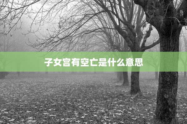 子女宫有空亡是什么意思