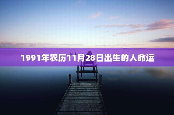 1991年农历11月28日出生的人命运