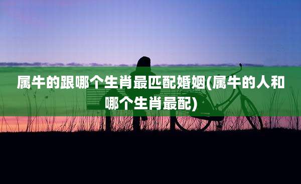 属牛的跟哪个生肖最匹配婚姻(属牛的人和哪个生肖最配)