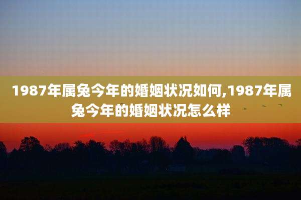 1987年属兔今年的婚姻状况如何,1987年属兔今年的婚姻状况怎么样