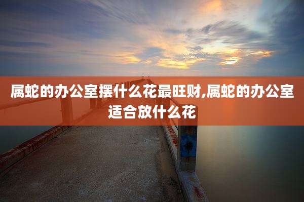 属蛇的办公室摆什么花最旺财,属蛇的办公室适合放什么花
