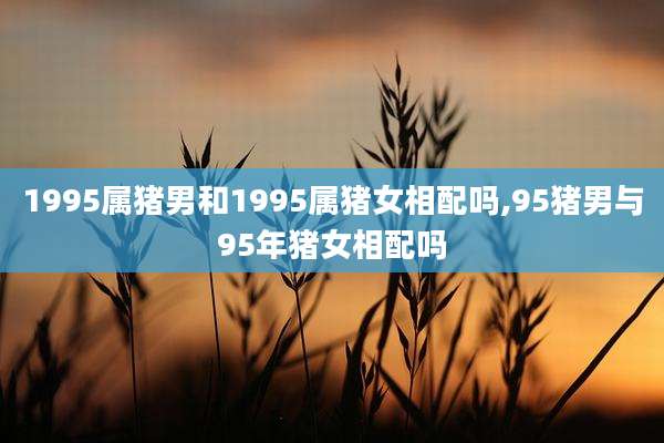1995属猪男和1995属猪女相配吗,95猪男与95年猪女相配吗