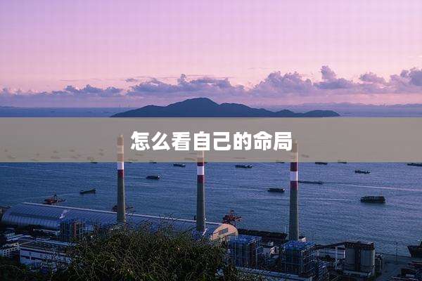 怎么看自己的命局